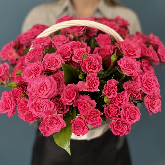 25 кустовых малиновых роз Глория в корзине